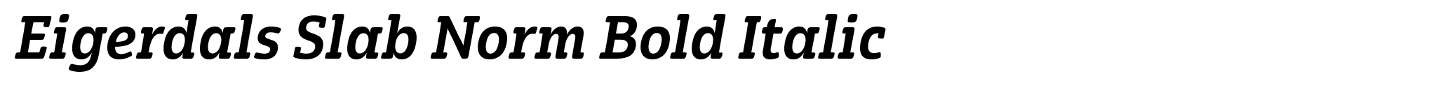 Eigerdals Slab Norm Bold Italic image